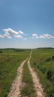 Serene dirt path winding through lush green fields under a bright blue sky photo