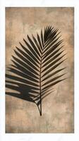 Elegant silhouette of a palm leaf against a soft pastel background in natural light photo