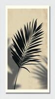 Elegant silhouette of a palm leaf against a soft pastel background in natural light photo
