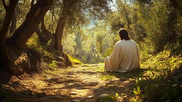 Serene back view of Jesus Christ Praying in the Garden of Gethsemane copy space background photo