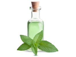 Peppermint Oil , Mentha piperita A clear glass bottle filled with pale green peppermint oil. The oil has a refreshing, cooling png