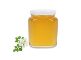 Coriander Blossom Honey , Coriandrum sativum Light amber honey with a subtle citrusy flavor, displayed in a clear jar next png