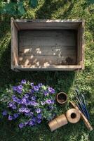 Gardening tools and potted plants arranged on lush green grass under bright sunlight photo