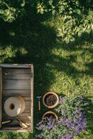 Gardening tools and potted plants arranged on lush green grass under bright sunlight photo