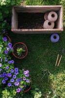 Gardening tools and potted plants arranged on lush green grass under bright sunlight photo