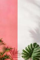 Vibrant plant casting shadows on modern coral and white wall design with sunlight photo