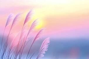 Soft pastel sunset over serene landscape with delicate grass tufts swaying gently photo