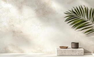 White wall with shadow and green plant creating a calming atmosphere in a modern space photo
