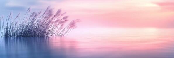 Tranquil morning mist over calm water with soft pastel tones and graceful reeds photo