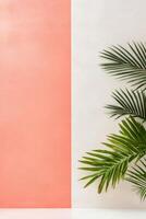 Vibrant plant casting shadows on modern coral and white wall design with sunlight photo