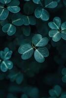 Delicate green clovers surrounded by dark foliage in a serene natural setting photo