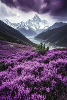 Stunning purple flower field with mountains and dramatic sky in the background photo