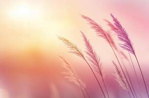 Soft pastel sunset over serene landscape with delicate grass tufts swaying gently photo