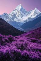 Stunning purple flower field with mountains and dramatic sky in the background photo