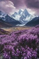 Stunning purple flower field with mountains and dramatic sky in the background photo