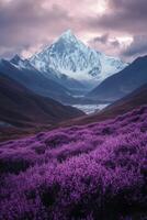 Stunning purple flower field with mountains and dramatic sky in the background photo