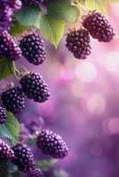 Fresco moras colgando desde lozano verde ramas en un vibrante jardín durante el tarde foto