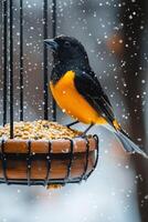 A vibrant bird perched on a snowy feeder during winter in a serene garden setting photo