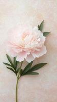 Soft pink flower blooming with a gentle blue background in a serene atmosphere photo