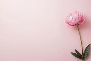 A single pink peony flower stands tall against a soft blue background in a tranquil setting photo