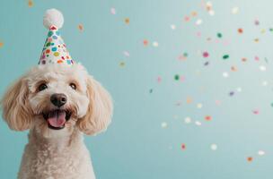 Happy dog wearing a party hat with colorful confetti in a festive atmosphere at a celebration photo