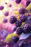 Fresco moras colgando desde lozano verde ramas en un vibrante jardín durante el tarde foto