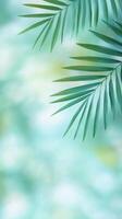 Soft green palm leaves against a blurred blue background in a tranquil tropical setting photo