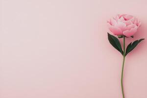 A single pink peony flower stands tall against a soft blue background in a tranquil setting photo