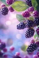 Fresco moras colgando desde lozano verde ramas en un vibrante jardín durante el tarde foto