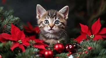 Charming kitten surrounded by festive decorations and poinsettias during the holiday season photo