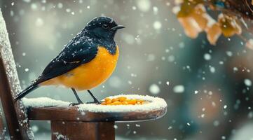 A colorful bird perched on a snowy seat enjoying seeds during a winter snowfall photo