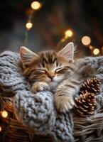 A cozy kitten sleeping peacefully in a knitted blanket surrounded by warm lights and pinecones photo