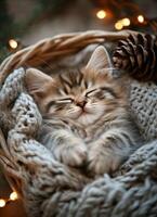 A cozy kitten sleeping peacefully in a knitted blanket surrounded by warm lights and pinecones photo