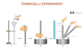 Torricelli Experiment Demonstrating Atmospheric Pressure with Mercury, Glass Tube, and Scale vector