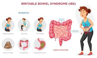 An IBS symptoms infographic highlights key signs like pain, bloating, diarrhea, and constipation visually. vector