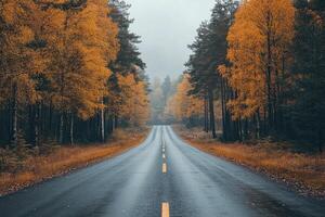 Winding road leading into colorful autumn forest in the mountains photo