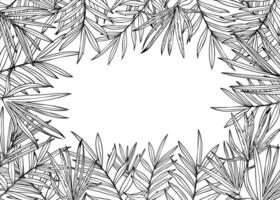 dypsis, areca palm or Cycas leaves horizontal rectangle frame with empty space for text. Tropical monochrome tree leaf silhouette floral line art black ink border. For greeting card, invitation vector