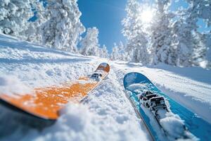 Skis resting on fresh powder snow on sunny day in mountain forest photo