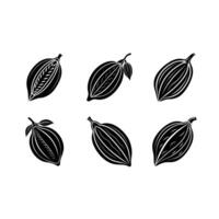 Cocoa Pod Graphic Design - High-Quality Digital Download vector