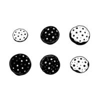 Chocolate Chip Graphics for Delicious Design Projects vector