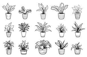 A set of different house plants in pots vector