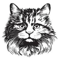 A cat's head is drawn in black and white vector