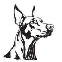 The doberman is a dog breed that is known for its intelligence vector