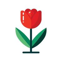 Red tulip isolated on white background vector