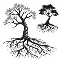 Silhouette of Two Trees with Roots illustration. vector