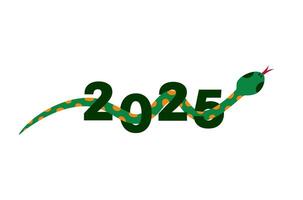 Happy Chinese new year greeting banner with snake intertwined with number 2025. Horizontal card with big figures decorated with traditional patterns. Translation - Happy new year, snake. vector