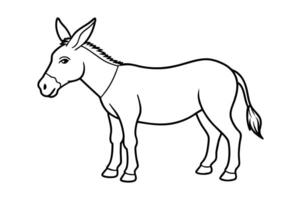 A donkey is standing in a line drawing vector