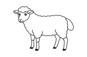 A sheep is standing in a line drawing vector
