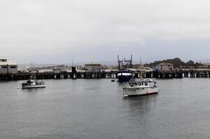 Monterey, CA, 2014 - Fishing Boats Moored To Buoys Near Wharf With Overcast Sky photo