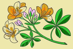 Professional Orange and Yellow Flower Line Art Illustration High Resolution Botanical Design. vector